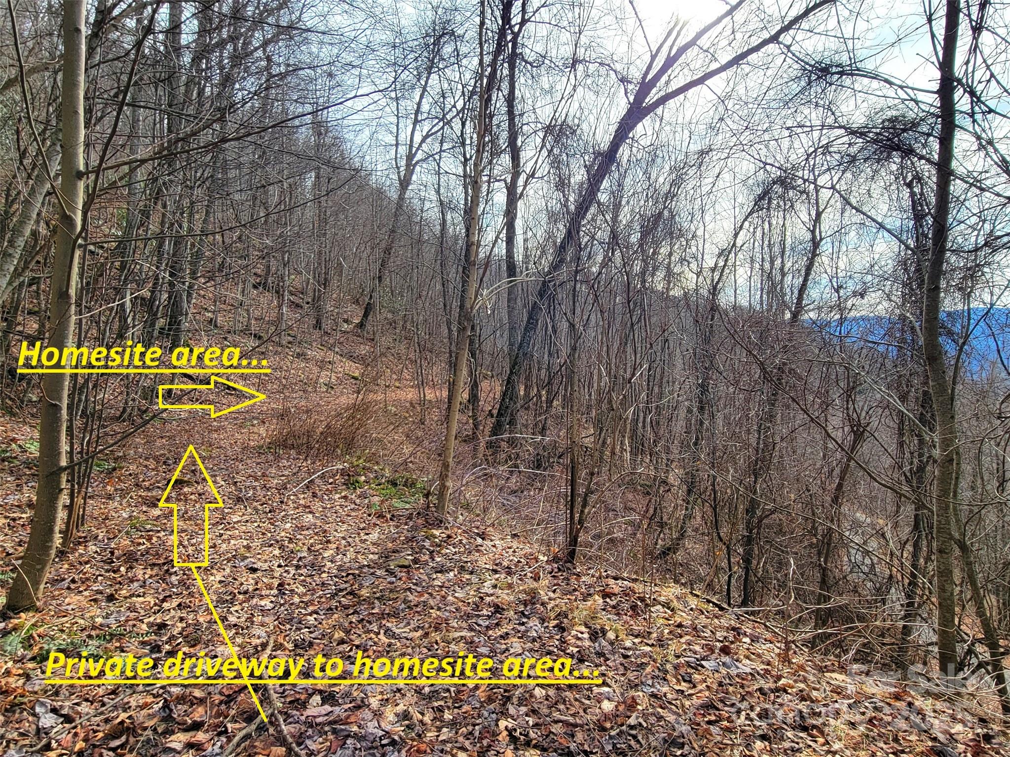 75 Rimrock Ridge, Unit I Clyde, NC 28721 - Photo 1 of 17