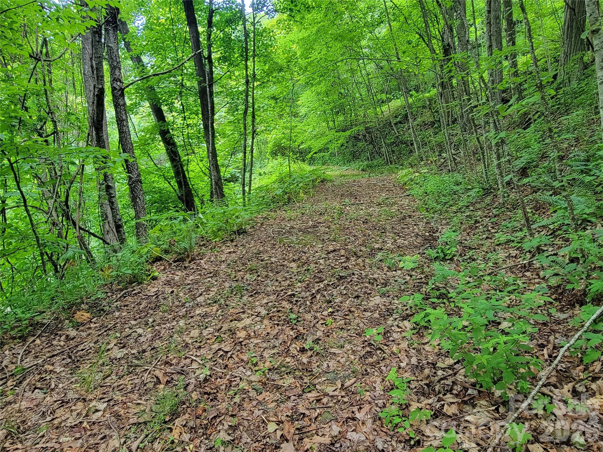 75 Rimrock Ridge, Unit I Clyde, NC 28721 - Photo 12 of 17