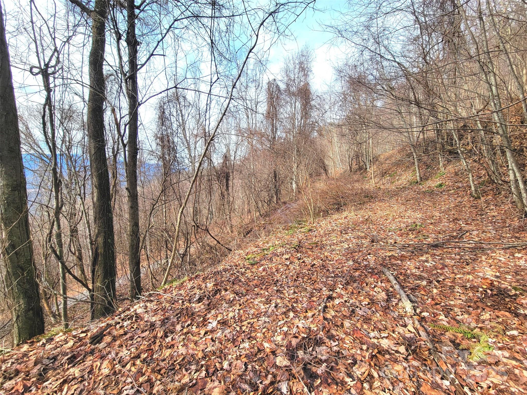 75 Rimrock Ridge, Unit I Clyde, NC 28721 - Photo 12 of 17