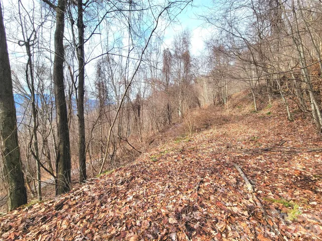 $18,000 | 75 Rimrock Ridge, Unit I, Clyde, NC 28721