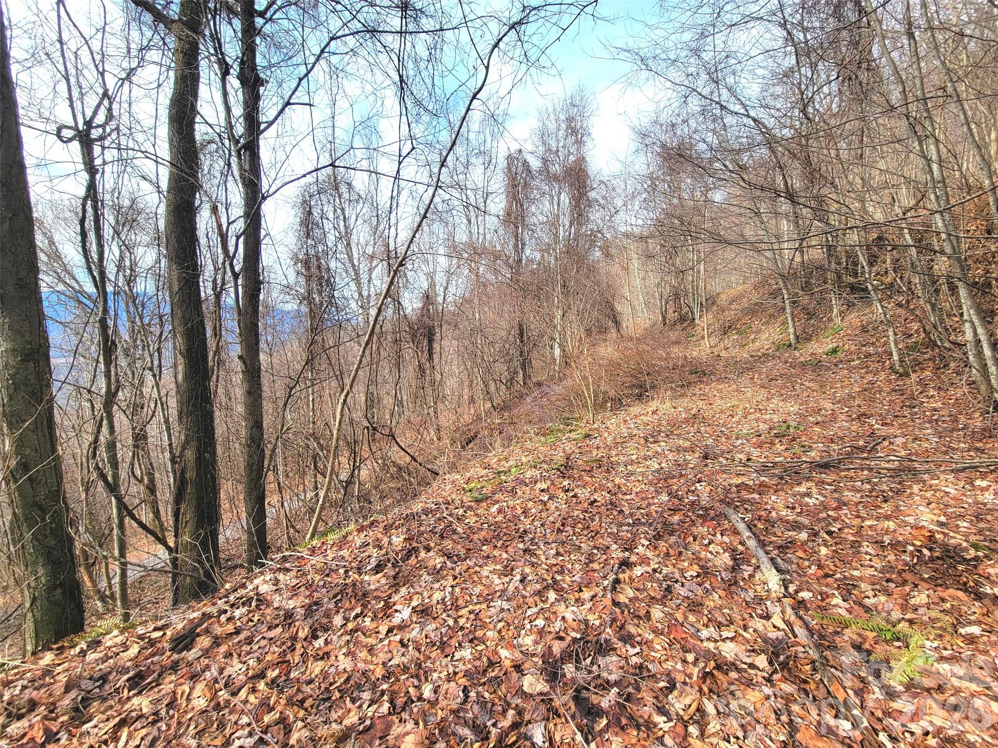 75 Rimrock Ridge, Unit I Clyde, NC 28721 - Photo 13 of 17