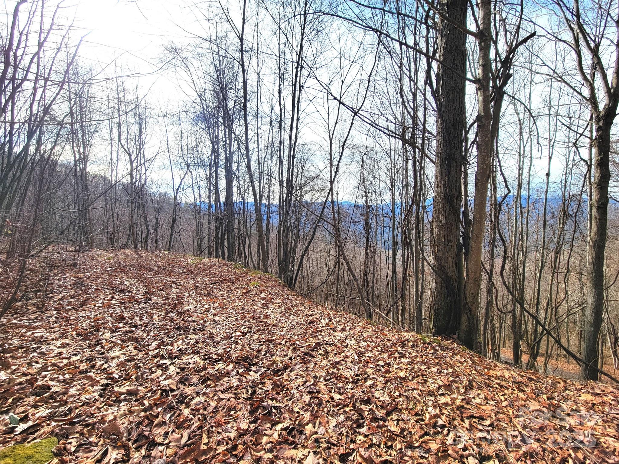 75 Rimrock Ridge, Unit I Clyde, NC 28721 - Photo 13 of 17