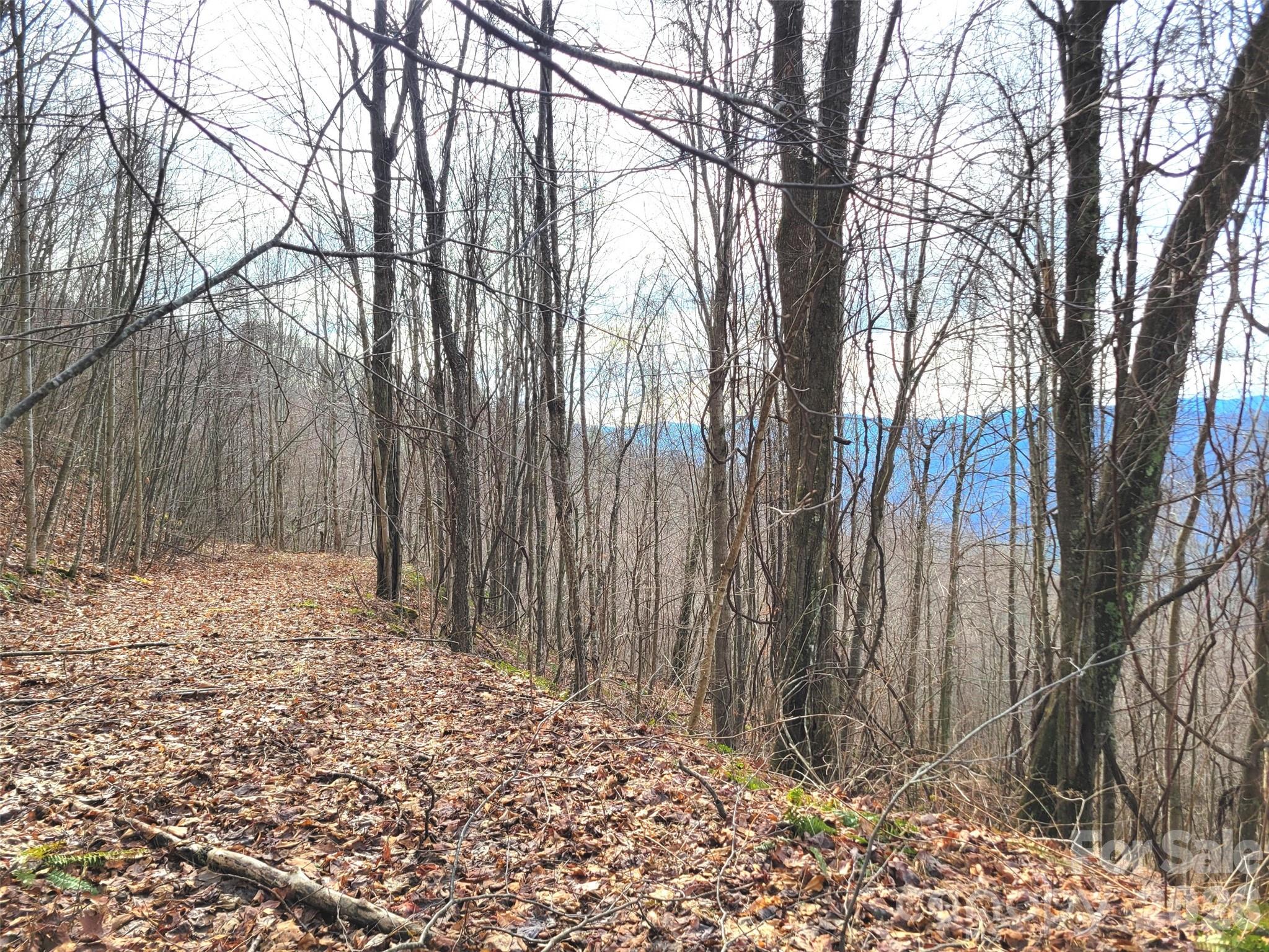 75 Rimrock Ridge, Unit I Clyde, NC 28721 - Photo 15 of 17