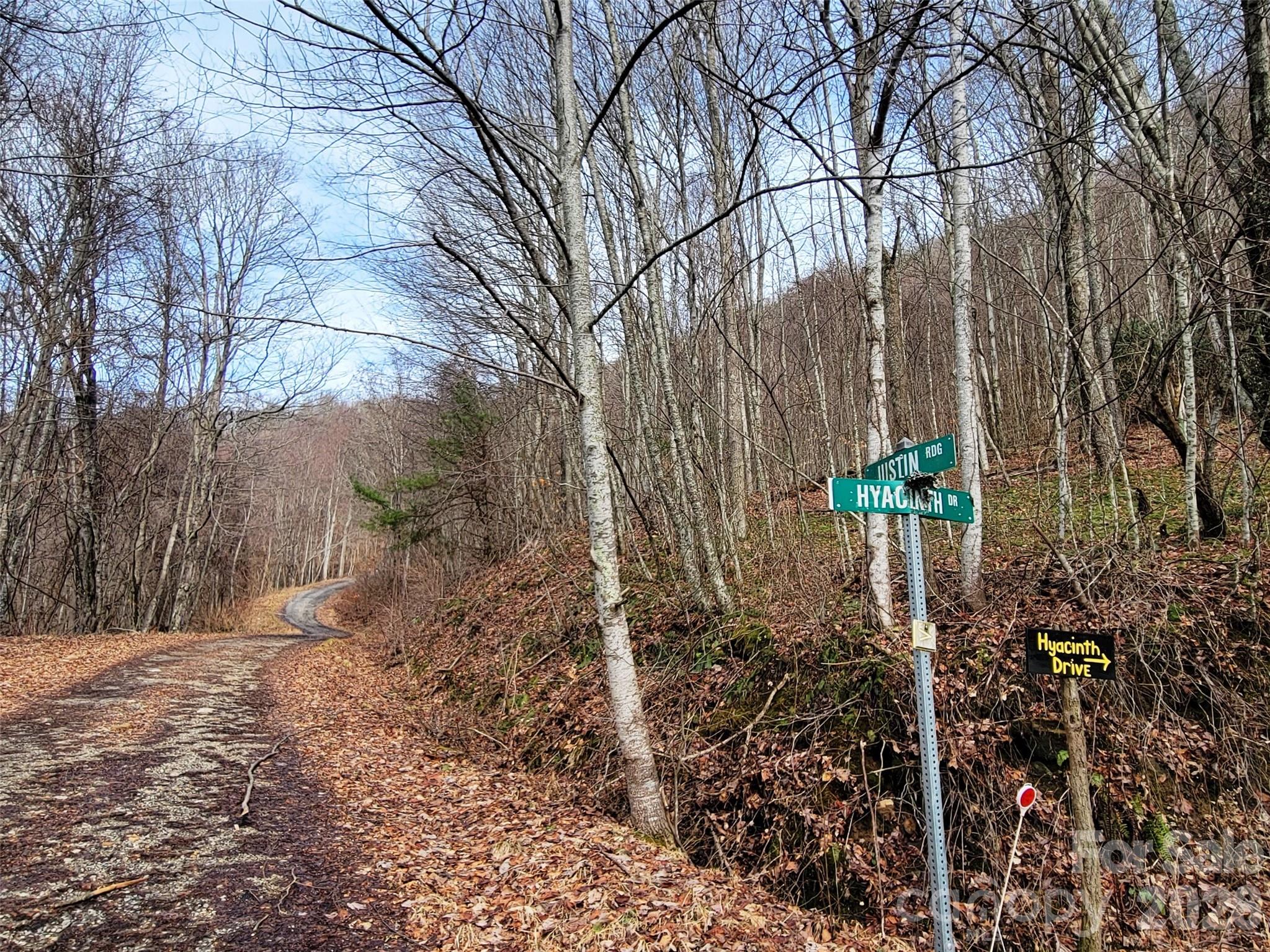 75 Rimrock Ridge, Unit I Clyde, NC 28721 - Photo 16 of 17