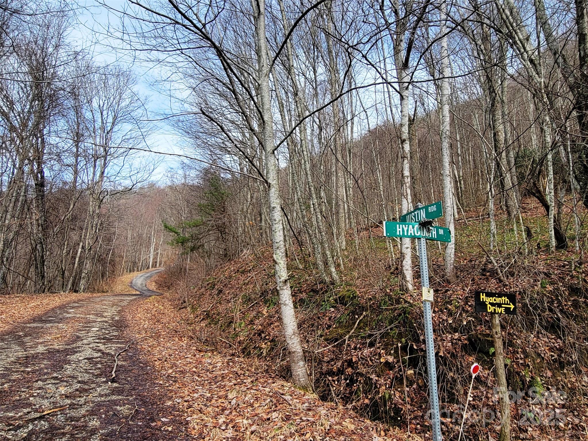 75 Rimrock Ridge, Unit I Clyde, NC 28721 - Photo 16 of 17