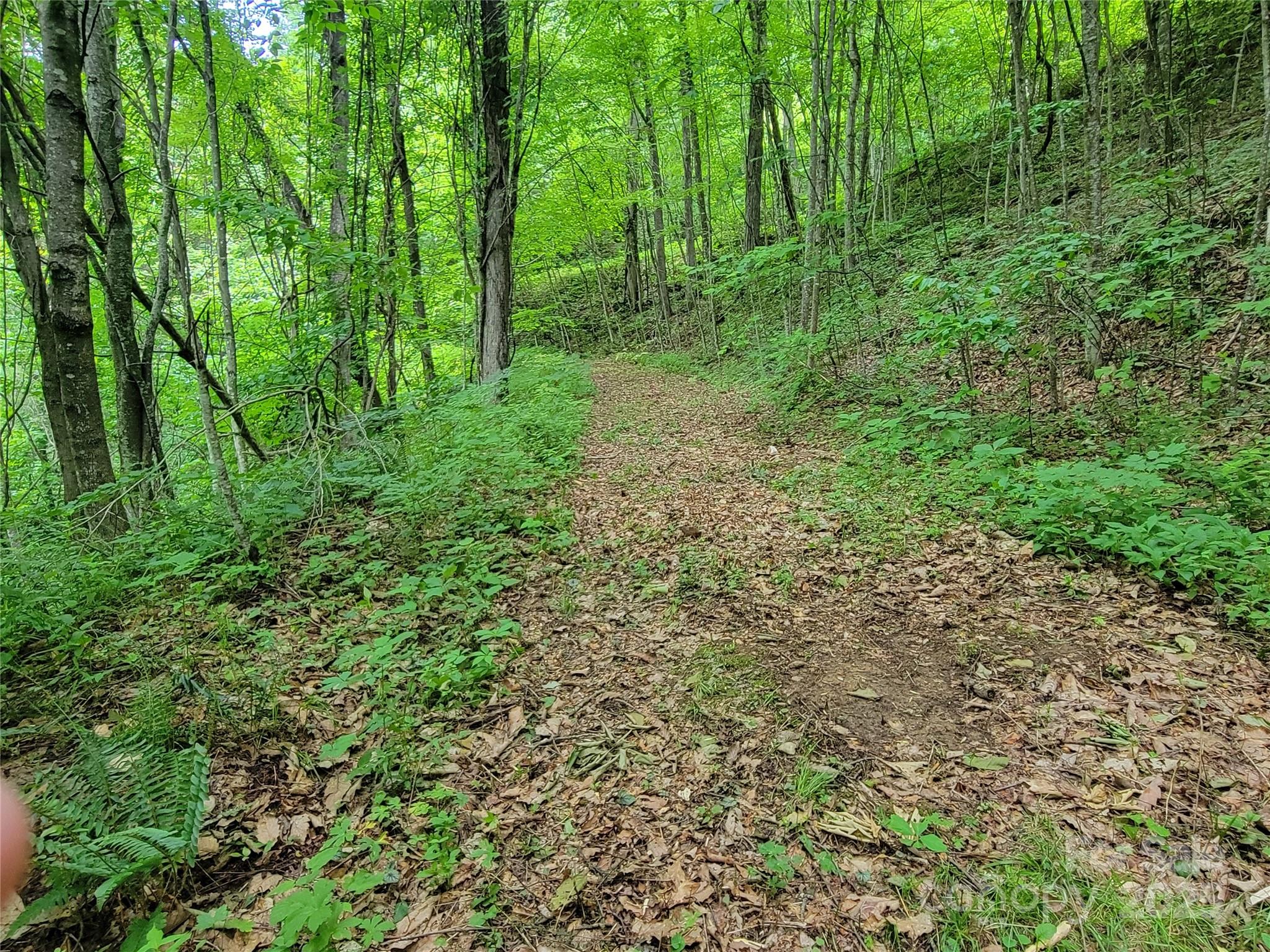 75 Rimrock Ridge, Unit I Clyde, NC 28721 - Photo 2 of 17