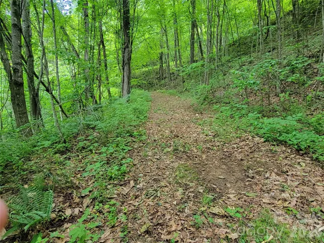 $18,000 | 75 Rimrock Ridge, Unit I, Clyde, NC 28721