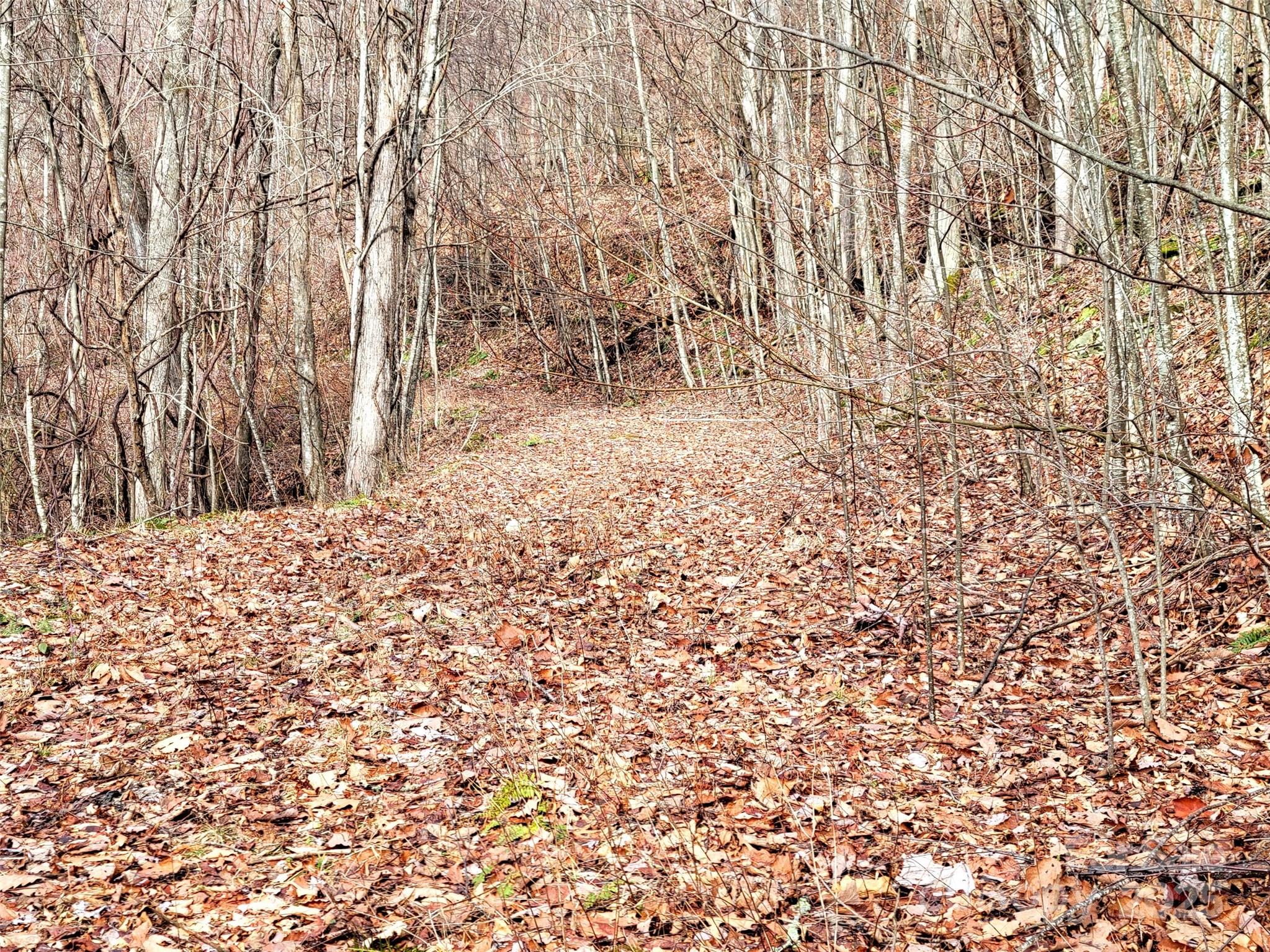 75 Rimrock Ridge, Unit I Clyde, NC 28721 - Photo 4 of 17