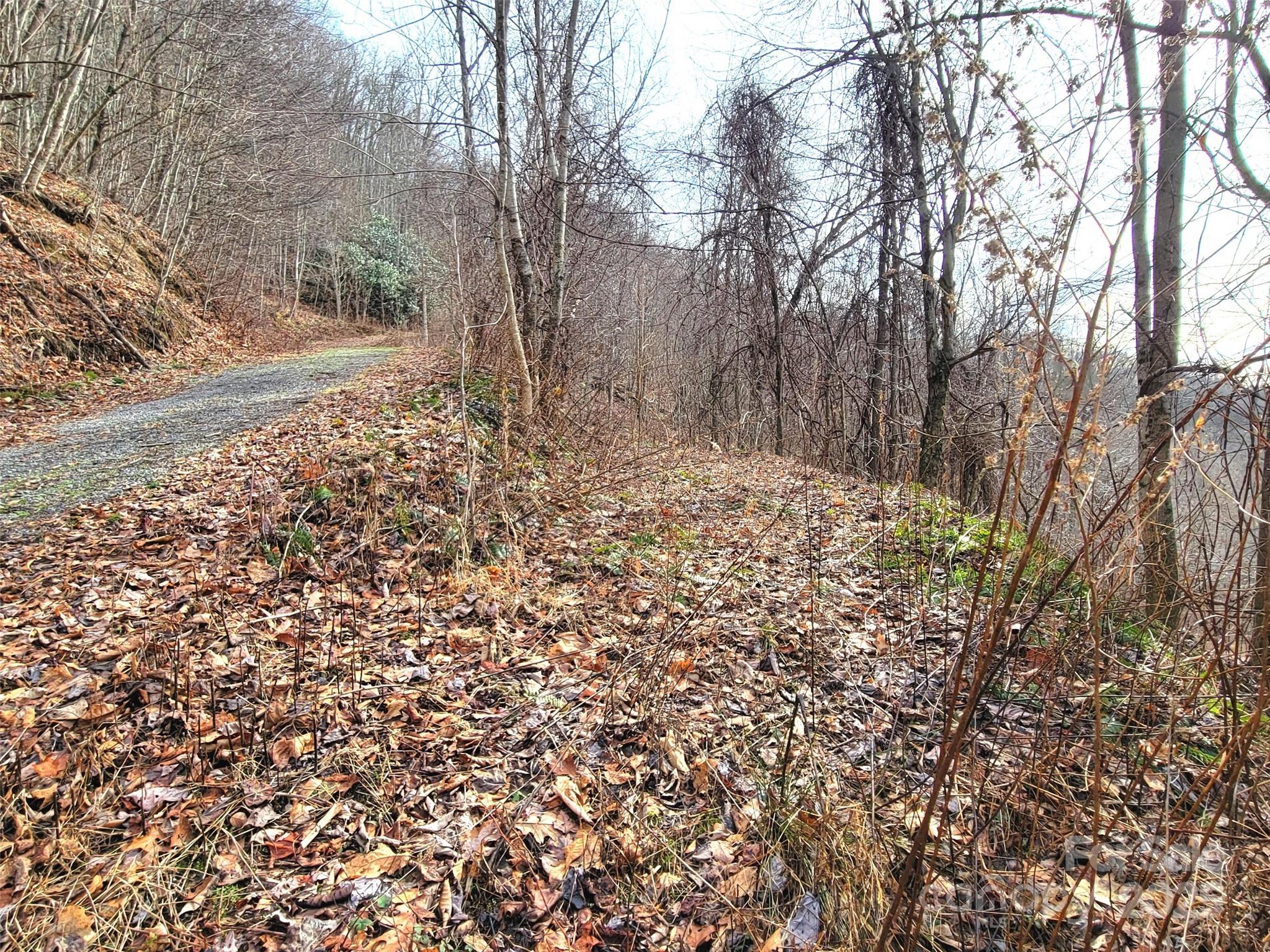 75 Rimrock Ridge, Unit I Clyde, NC 28721 - Photo 6 of 17