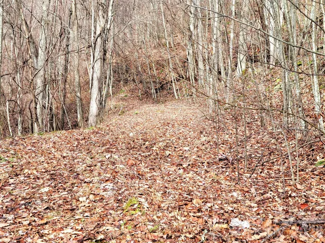 $18,000 | 75 Rimrock Ridge, Unit I, Clyde, NC 28721