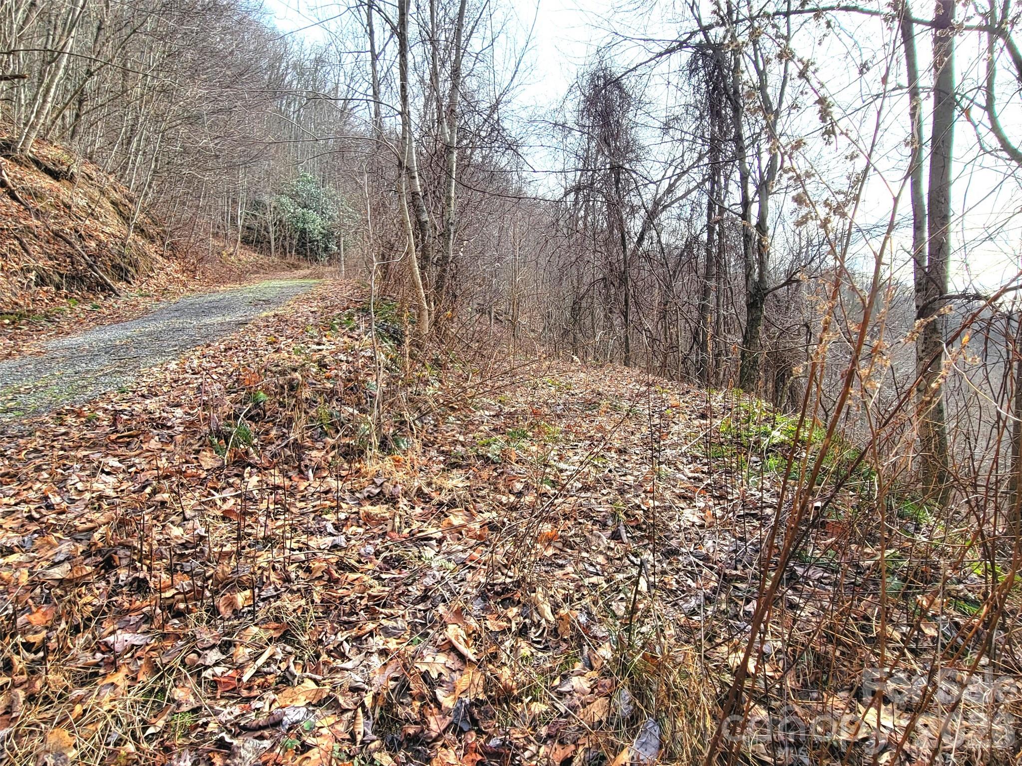 75 Rimrock Ridge, Unit I Clyde, NC 28721 - Photo 9 of 17