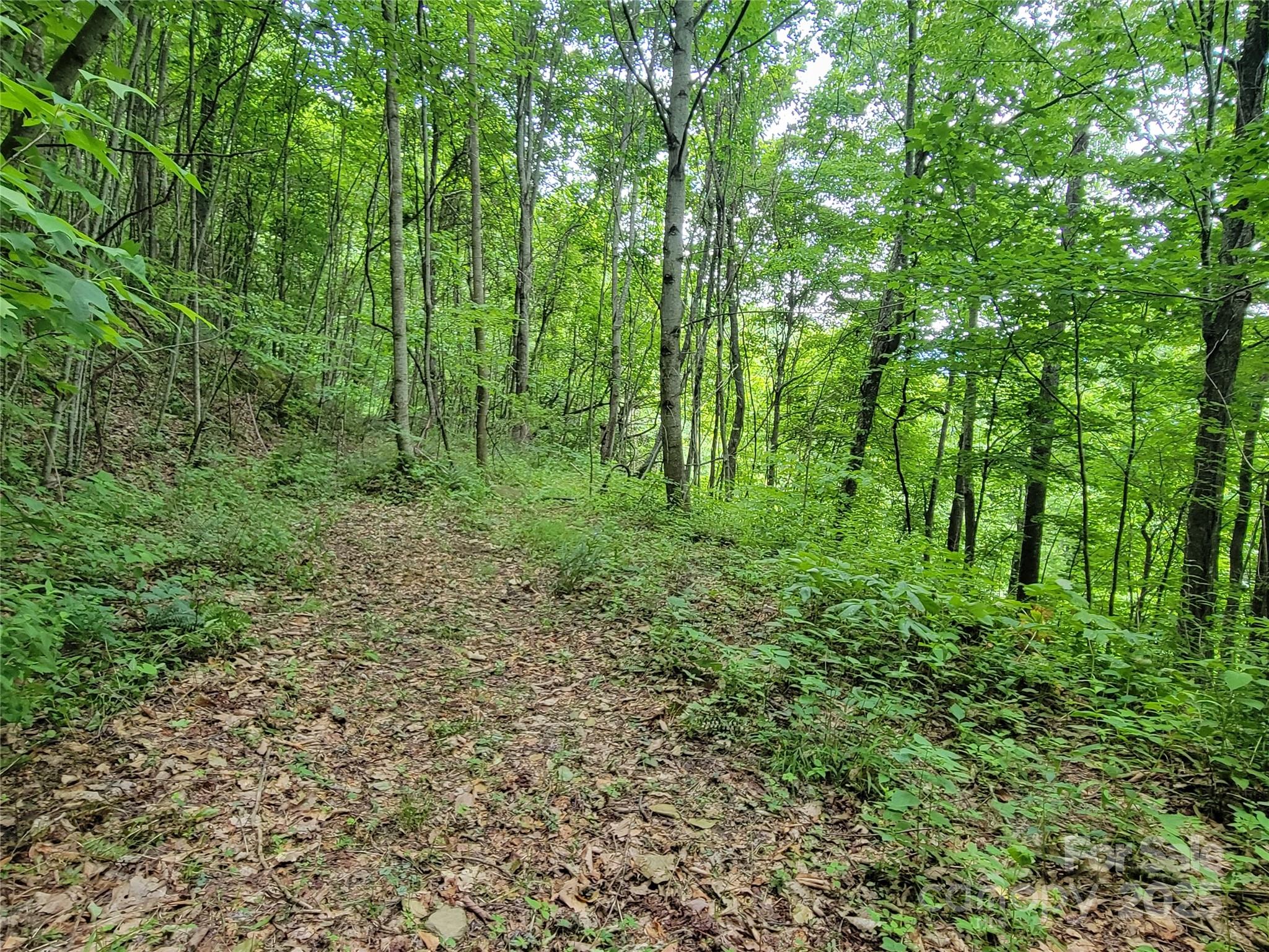 75 Rimrock Ridge, Unit I Clyde, NC 28721 - Photo 10 of 17