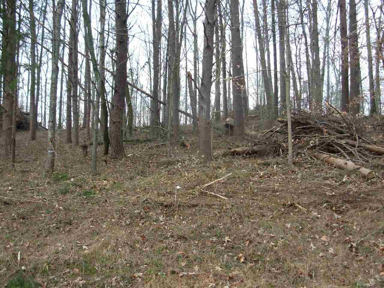 26 County Road Calhoun, TN 37309 - Photo 2 of 4 Gallery Image 2