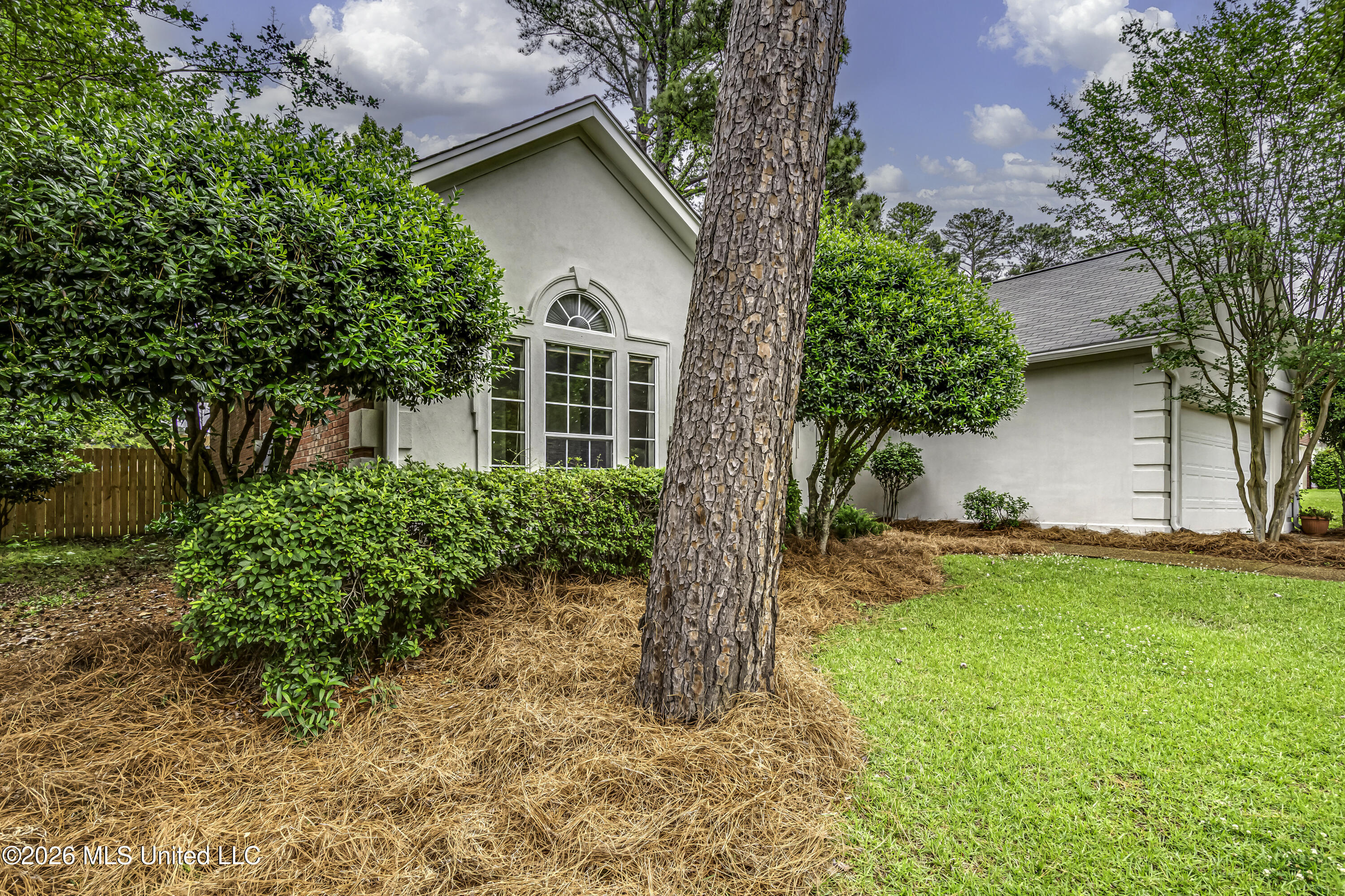 304 Beech Cove Ridgeland, MS 39157 - Photo 5 of 50 304 Beech Cv--63