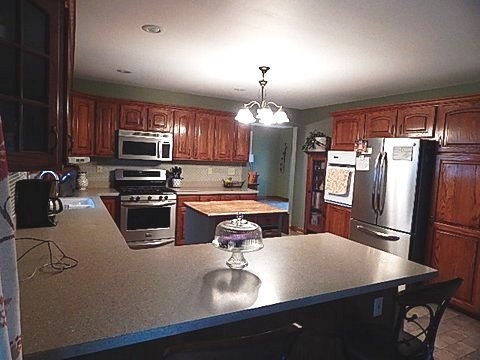 4603 North Graham Road Freeland, MI 48623 - Photo 7 of 13