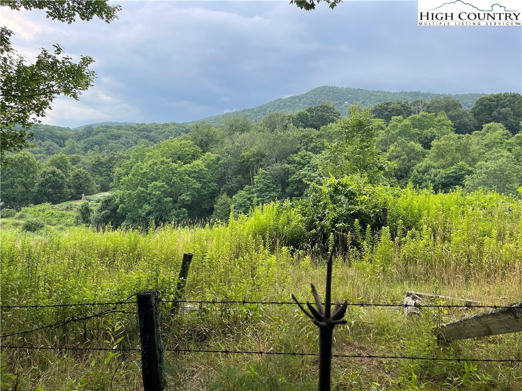 Lot 142 Timber Rock Road Blowing Rock, NC 28605 - Photo 29 of 30 Gallery Image 29