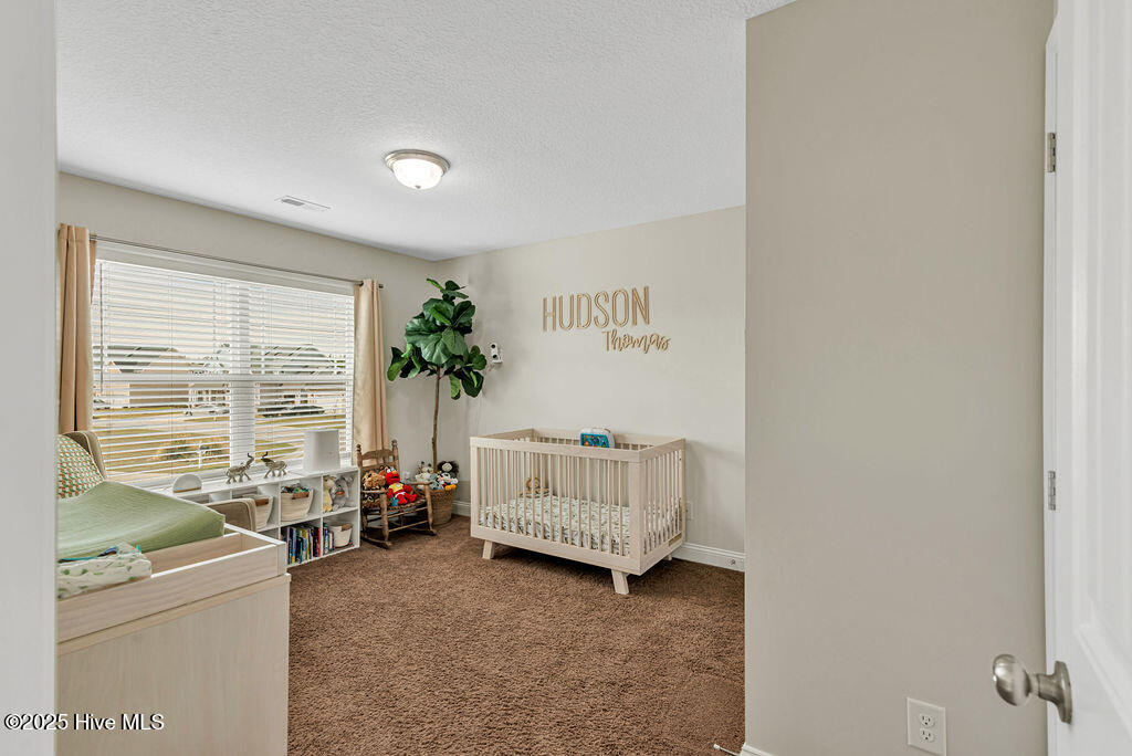 301 Bear Run Maple Hill, NC 28454 - Photo 33 of 51 DSC_2350