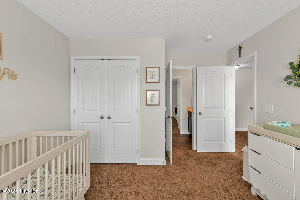 301 Bear Run Maple Hill, NC 28454 - Photo 34 of 51 DSC_2365