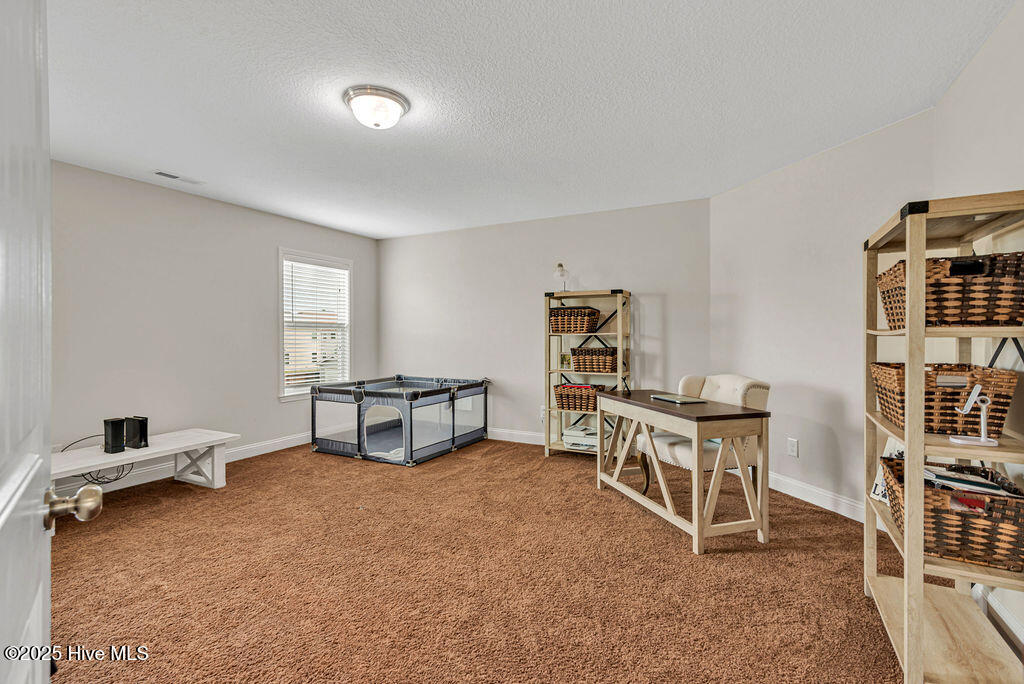 301 Bear Run Maple Hill, NC 28454 - Photo 46 of 51 DSC_2457