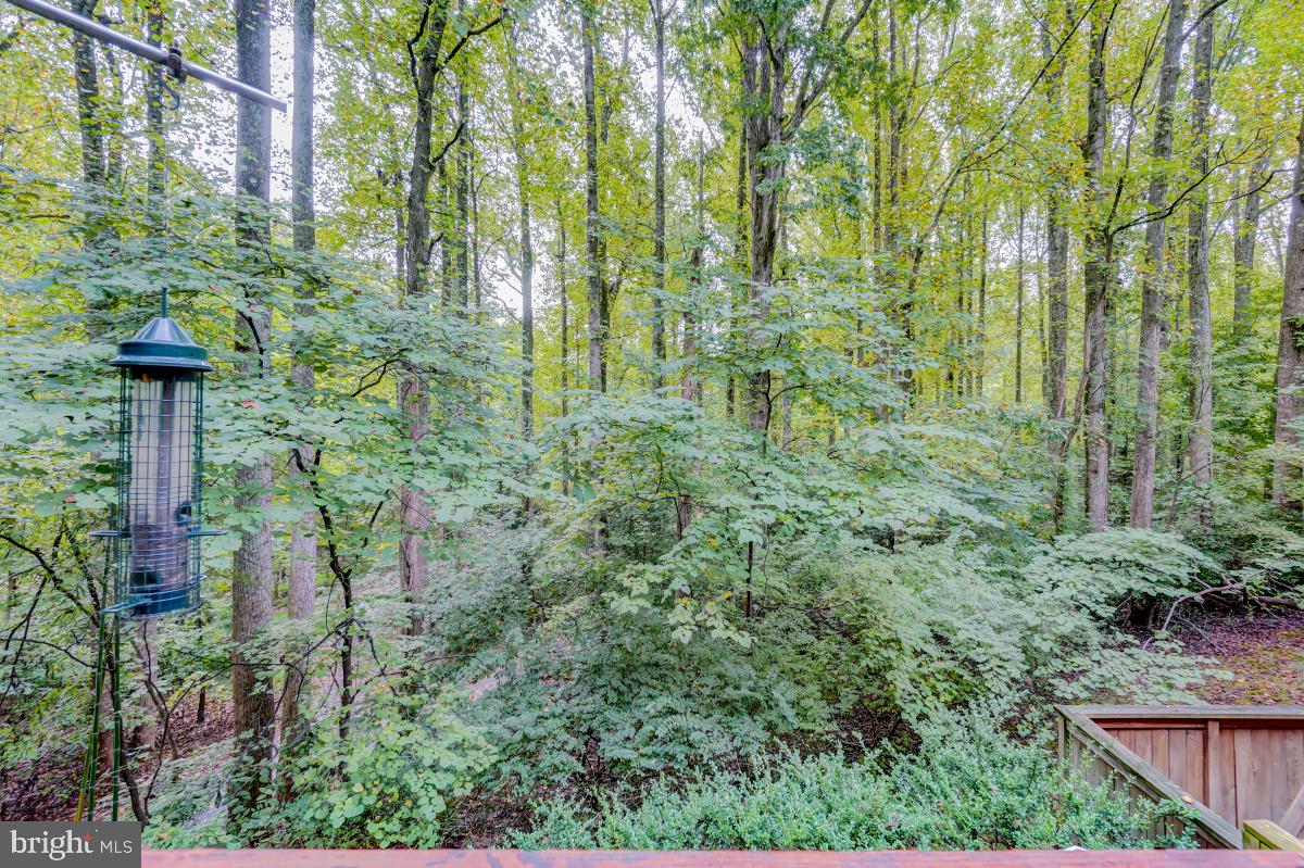 2251 Chestnut Burr Court Reston, VA 20191 - Photo 24 of 47 Gallery Image 24