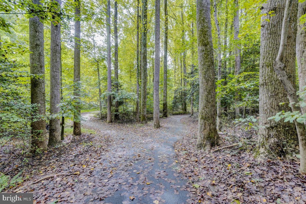 2251 Chestnut Burr Court Reston, VA 20191 - Photo 47 of 47 Gallery Image 47