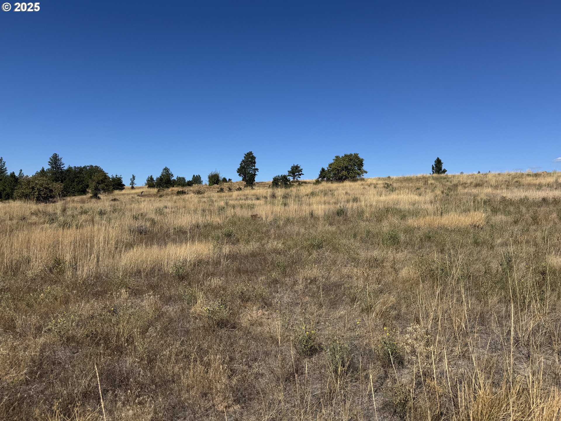 Nka Tegan Road Goldendale, WA 98620 - Photo 11 of 18
