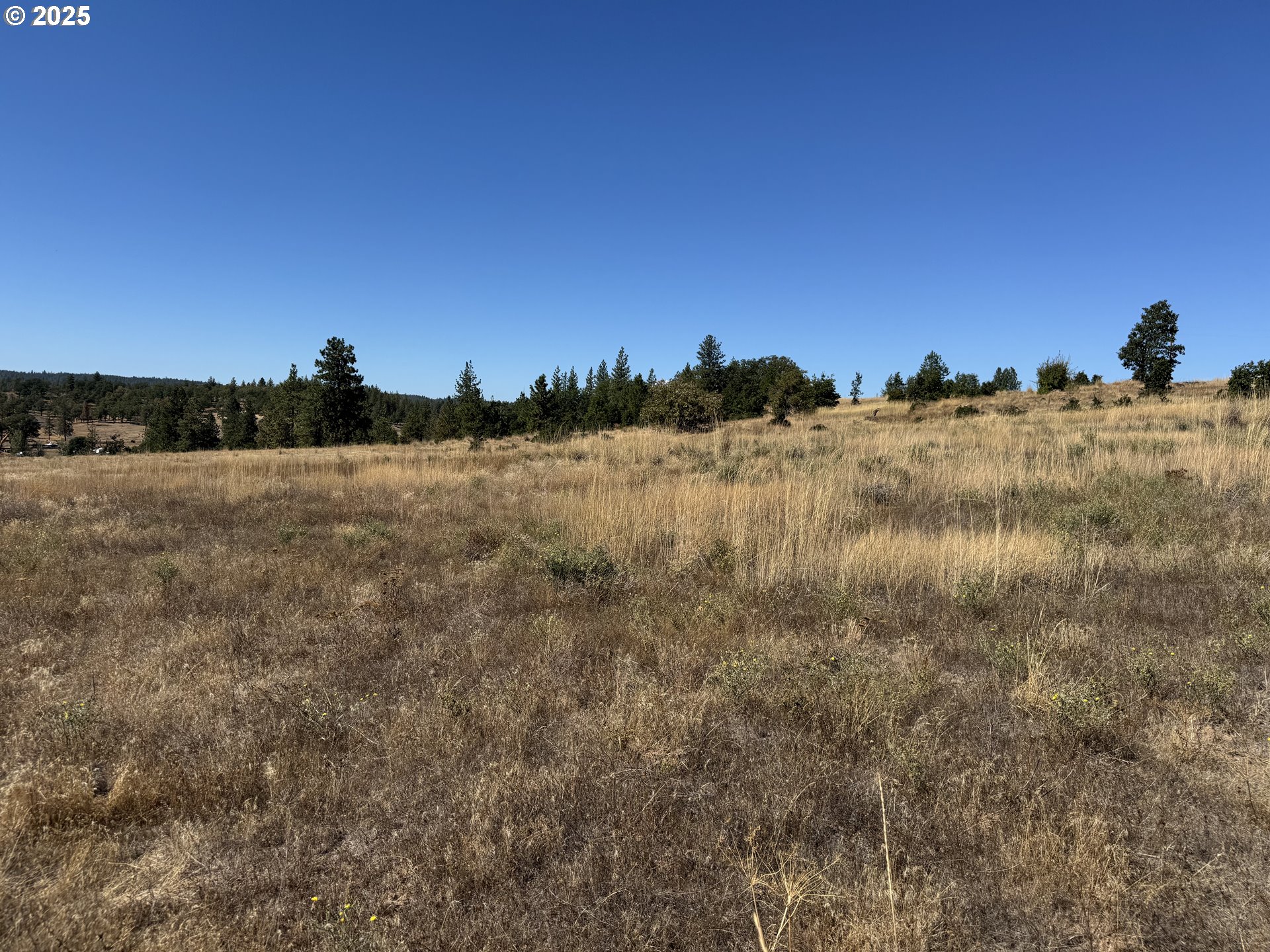 Nka Tegan Road Goldendale, WA 98620 - Photo 12 of 18