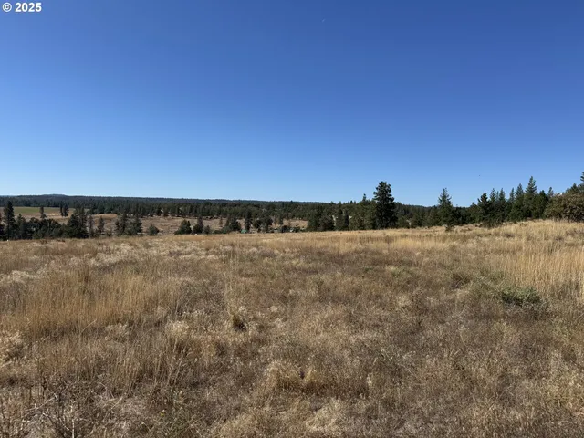 $75,000 | Nka Tegan Road, Goldendale, WA 98620