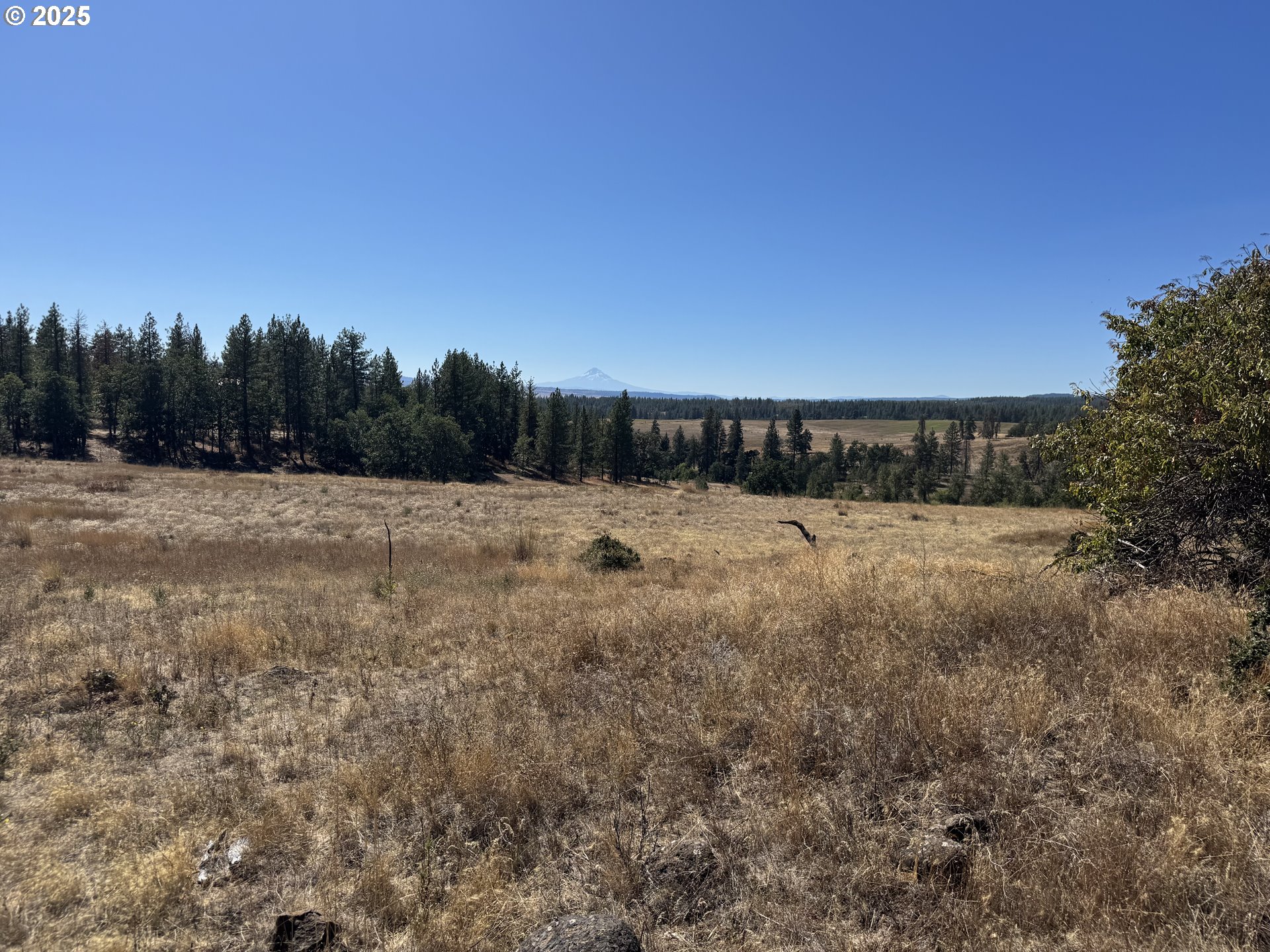 Nka Tegan Road Goldendale, WA 98620 - Photo 3 of 18