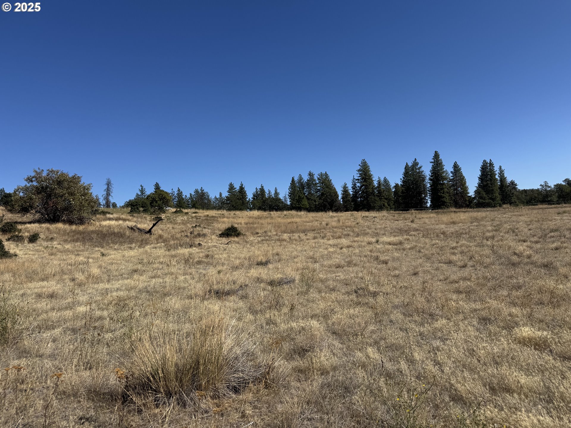 Nka Tegan Road Goldendale, WA 98620 - Photo 7 of 18