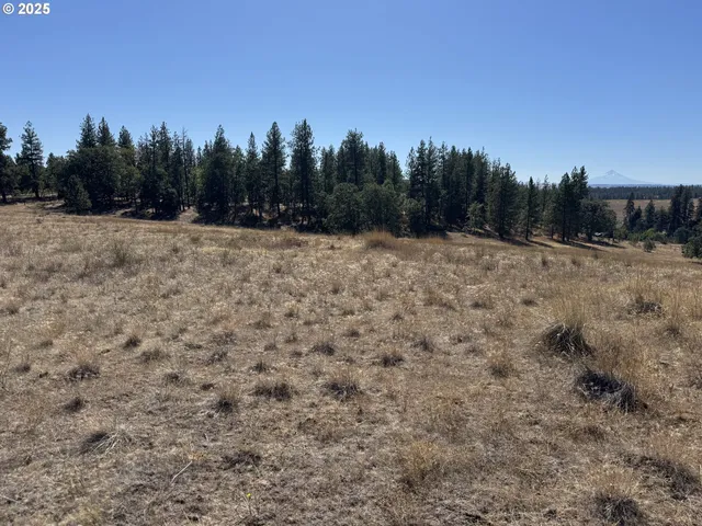 $75,000 | Nka Tegan Road, Goldendale, WA 98620