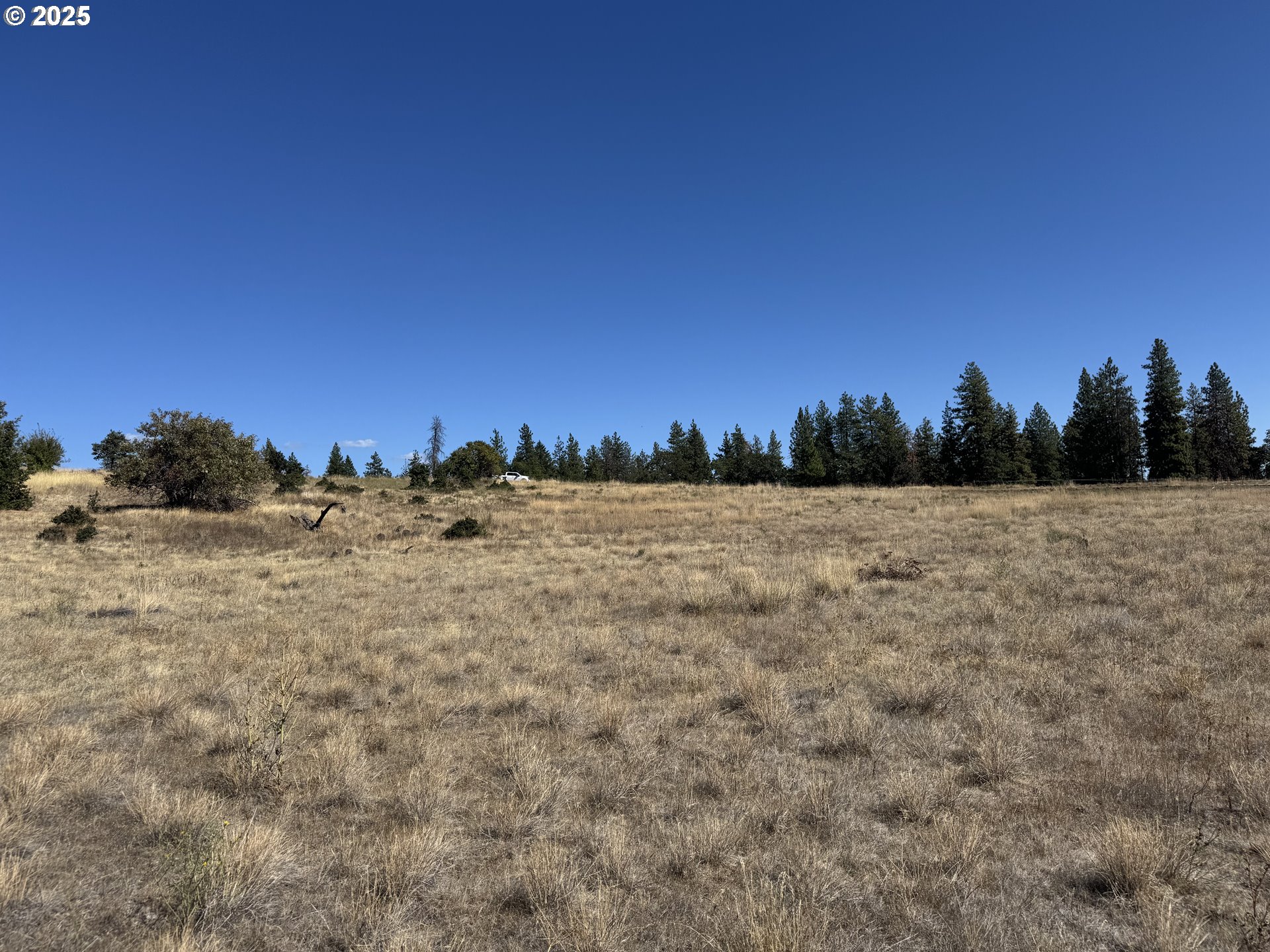 Nka Tegan Road Goldendale, WA 98620 - Photo 9 of 18