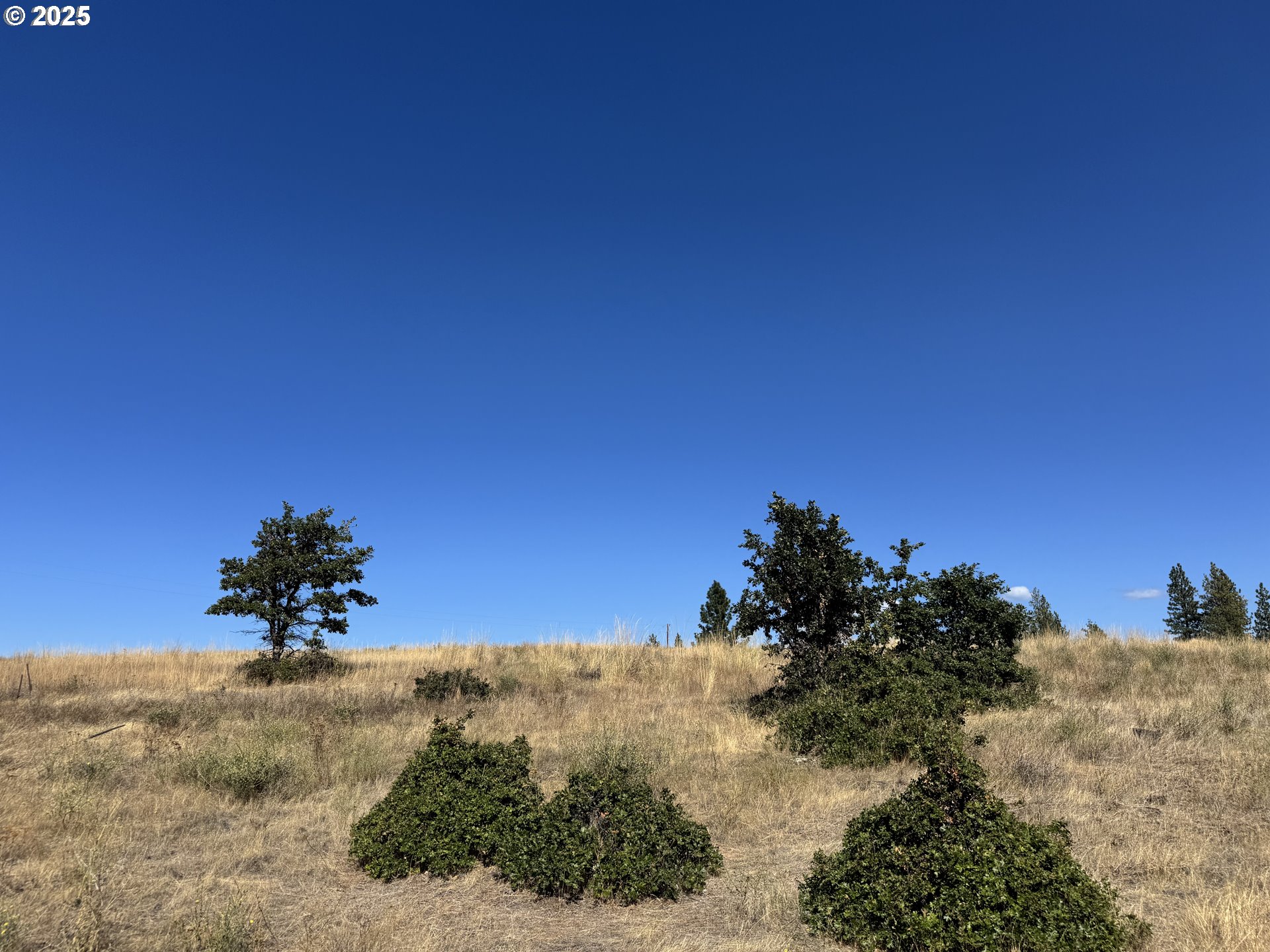 Nka Tegan Road Goldendale, WA 98620 - Photo 10 of 18