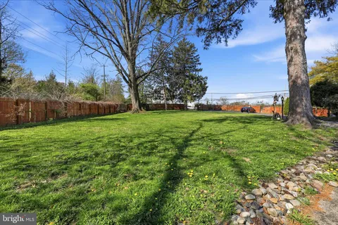 a view of a garden with flowers