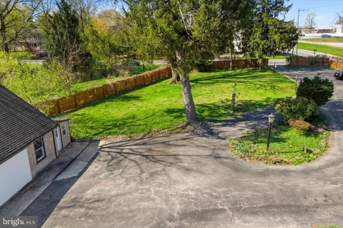a view of a garden with plants and large trees