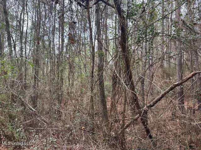 $85,000 | 914 Beverly Hills Road, Hattiesburg, MS 39401