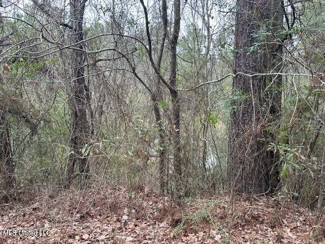 $85,000 | 914 Beverly Hills Road, Hattiesburg, MS 39401