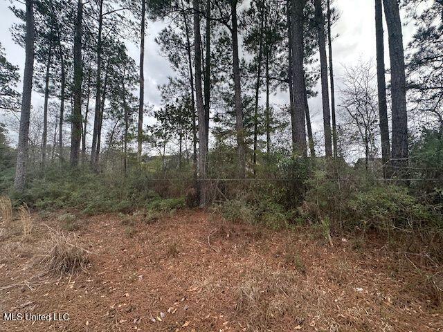 914 Beverly Hills Road Hattiesburg, MS 39401 - Photo 7 of 11 914 Beverly hill dr pic 3