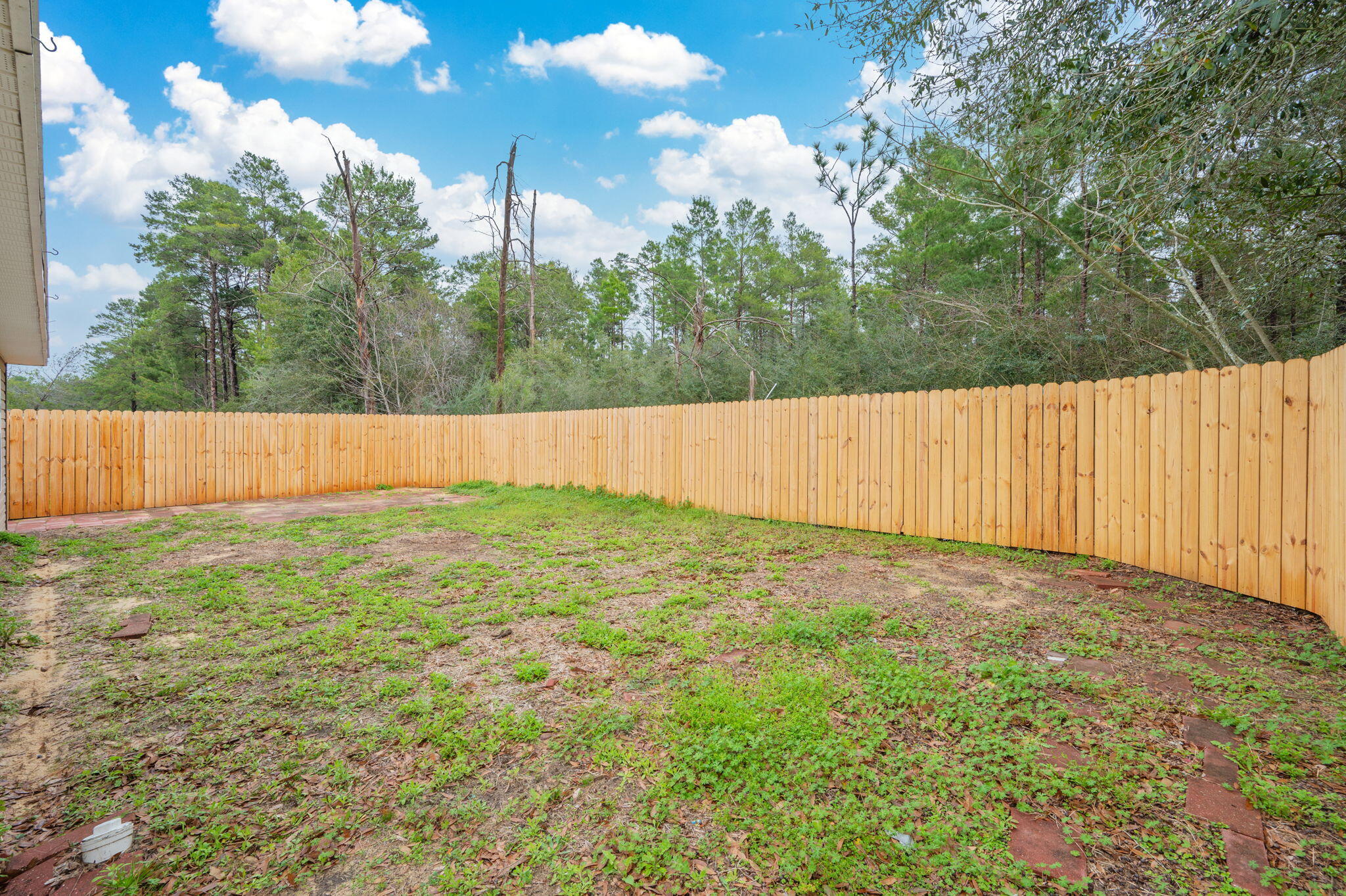 5249 Kervin Road Crestview, FL 32539 - Photo 24 of 27 a view of backyard and tree