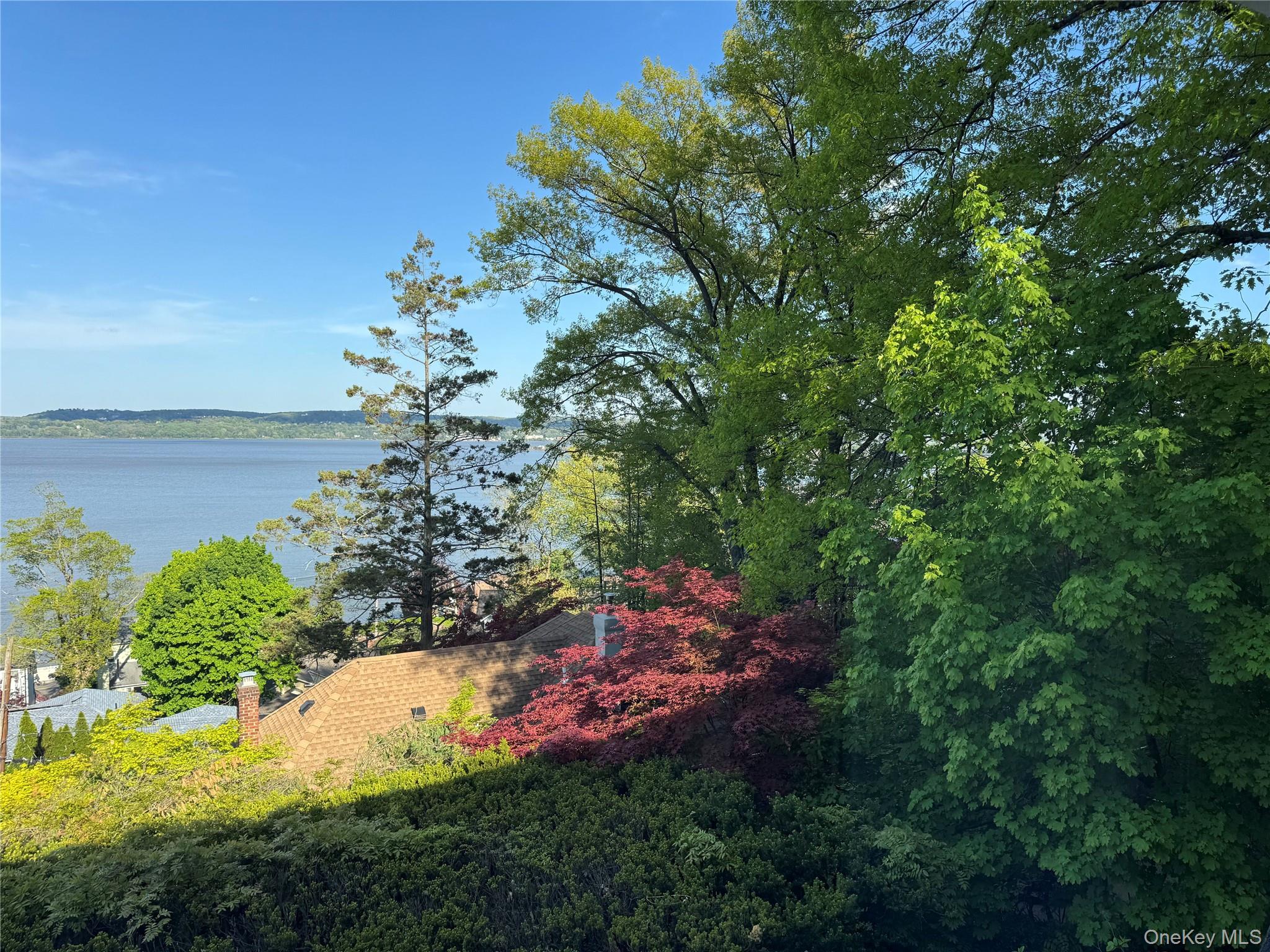 45 Upper Ritie Street Piermont, NY 10968 - Photo 27 of 30 a view of a yard with plants and large trees
