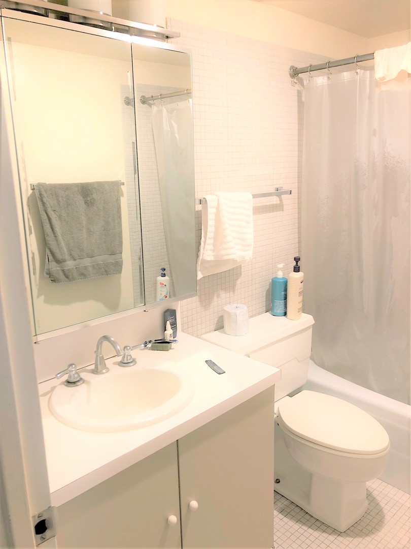 175 East Delaware Place, Unit 5501 Chicago, IL 60611 - Photo 22 of 37 a bathroom with a sink a toilet and shower curtain