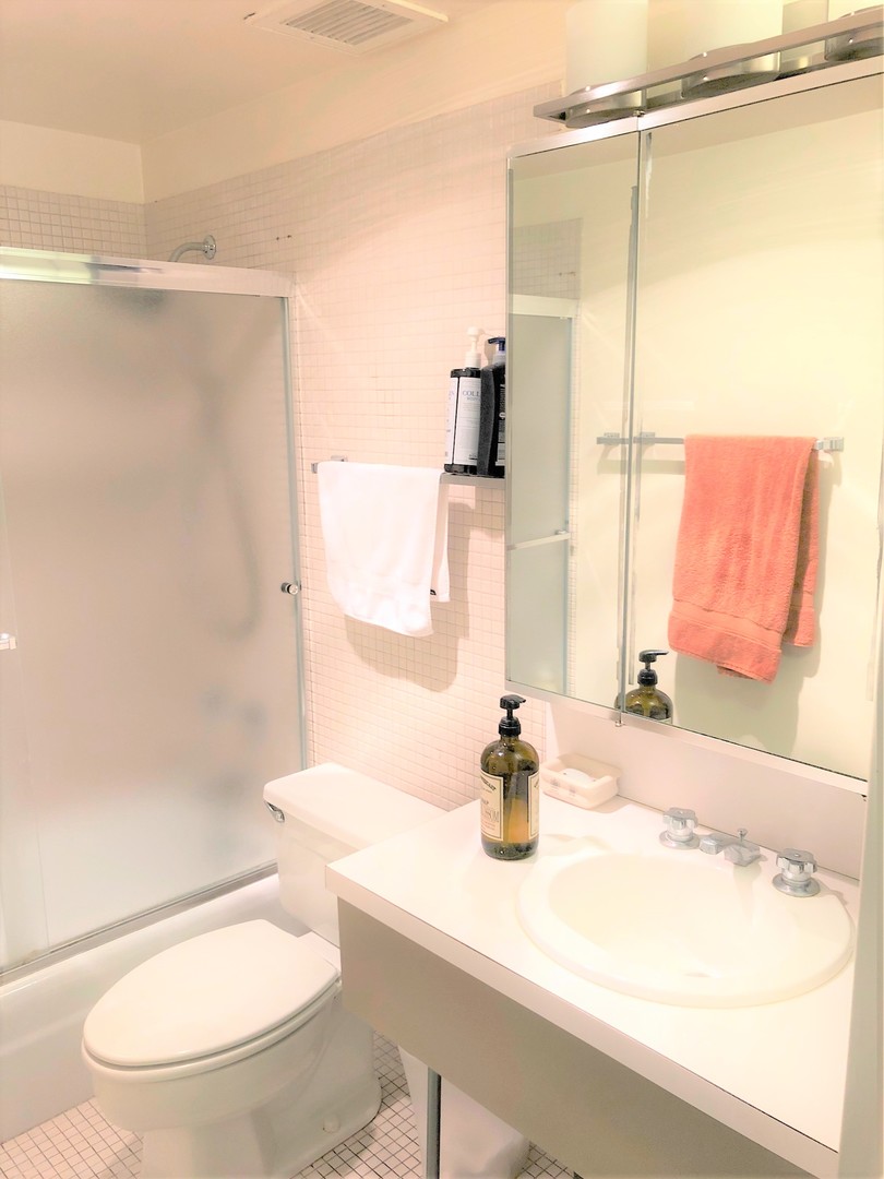 175 East Delaware Place, Unit 5501 Chicago, IL 60611 - Photo 27 of 37 a bathroom with a sink toilet and shower