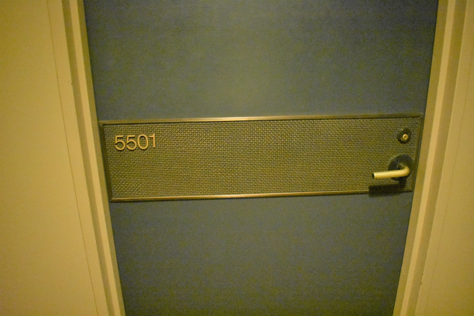 175 East Delaware Place, Unit 5501 Chicago, IL 60611 - Photo 4 of 37 a close view of a refrigerator in a bathroom