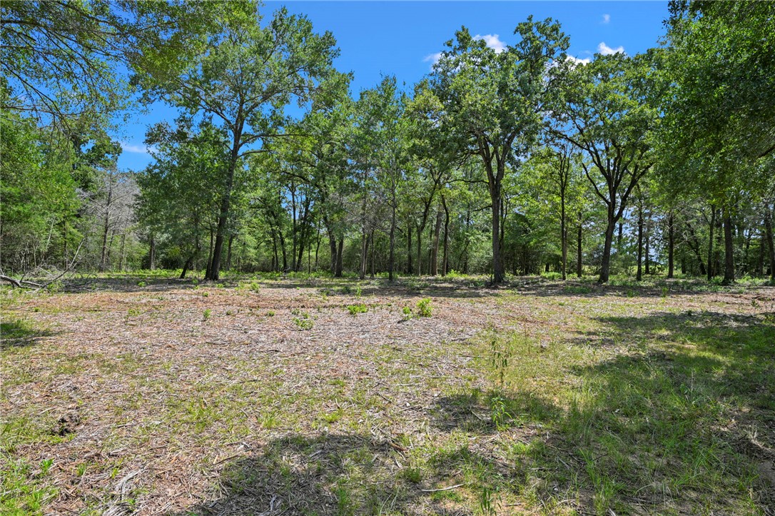 13849 Ferrill Creek Road Bryan, TX 77808 - Photo 6 of 17 Gallery Image 6