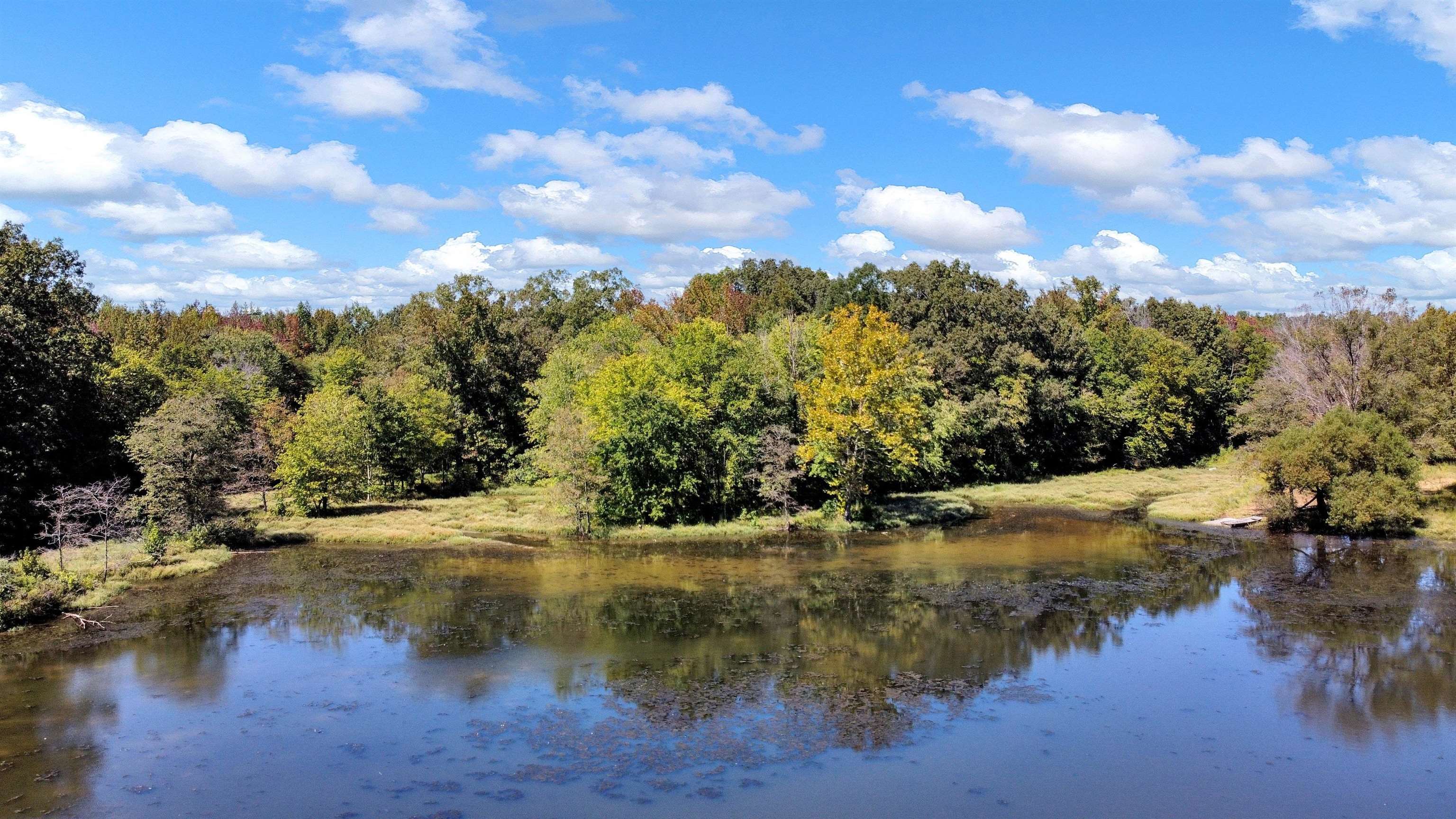 10835 Macon Road Eads, TN 38028 - Photo 3 of 13 a view of lake from top of house
