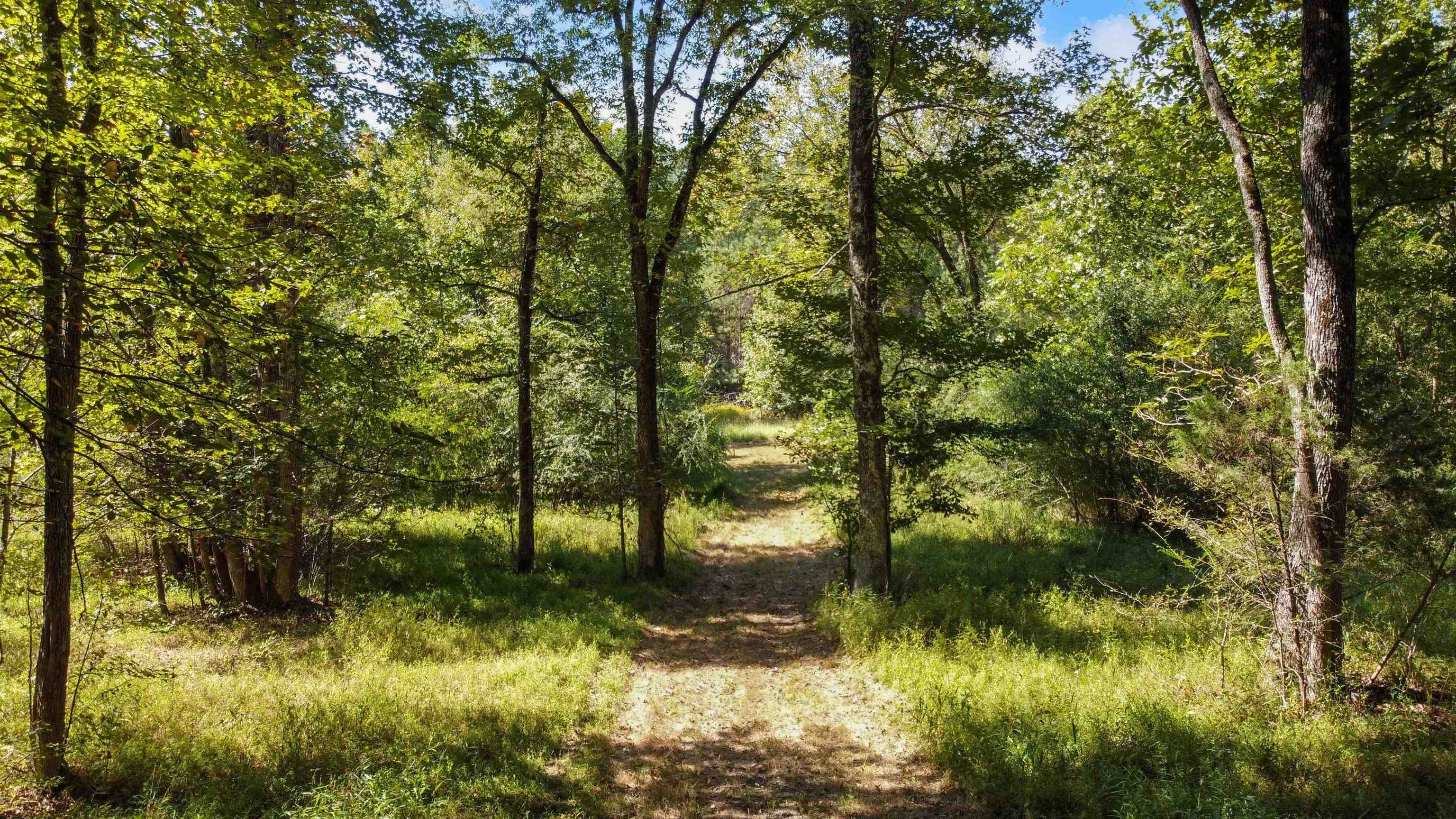 10835 Macon Road Eads, TN 38028 - Photo 6 of 13 a backyard of a house with lots of green space