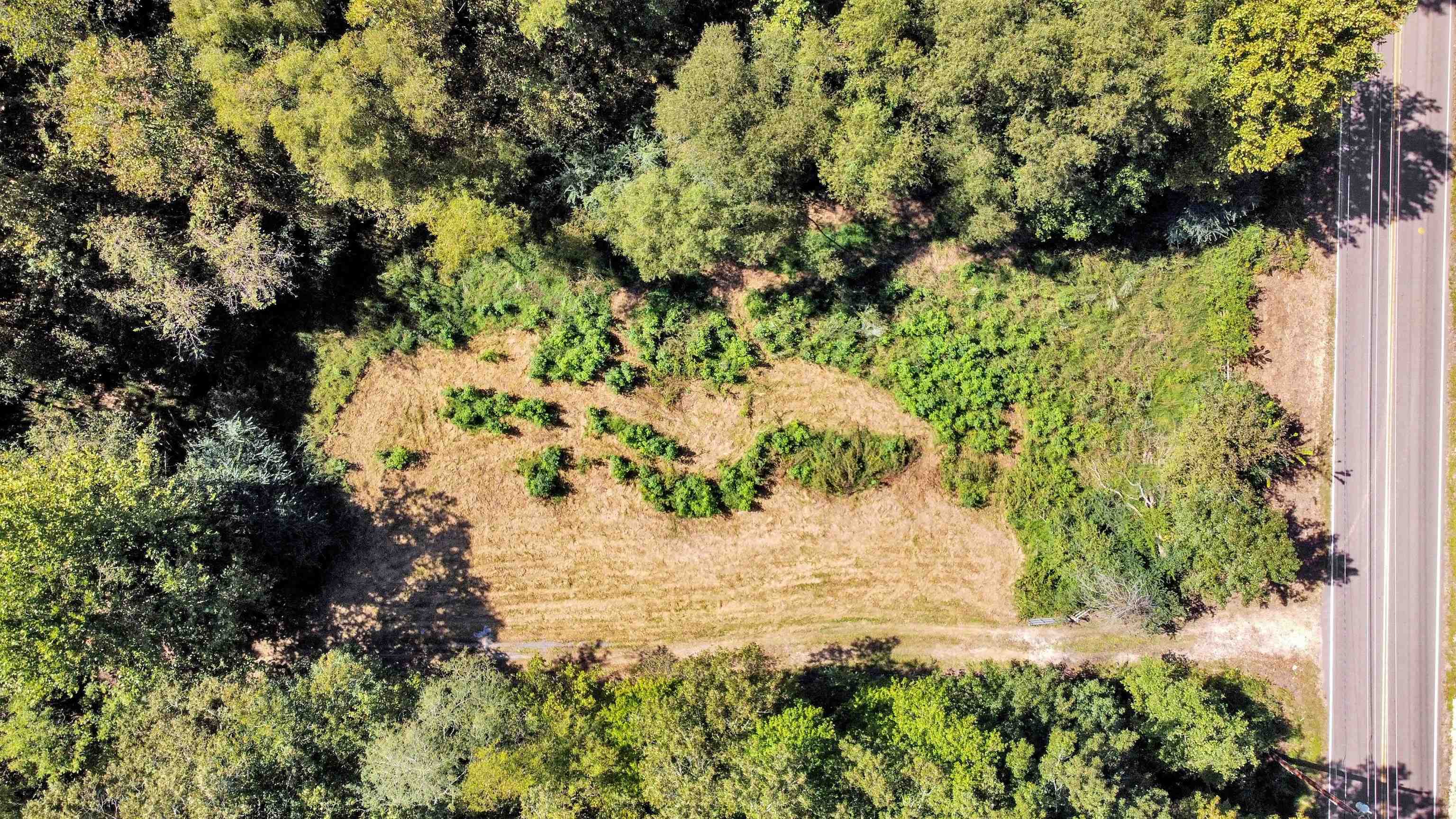 10835 Macon Road Eads, TN 38028 - Photo 9 of 13 a view of a garden with large trees