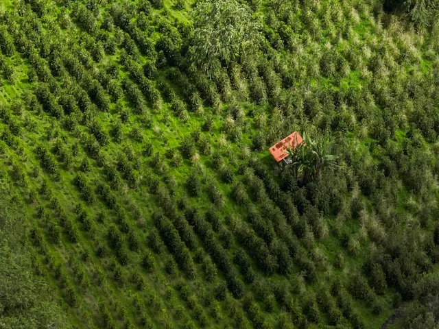 $2,950,000 | 93-5570 Lot 4 Kai Makani Place, Captain Cook, HI 96704