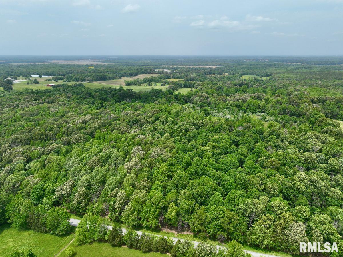3 Battleford Road Stonefort, IL 62987 - Photo 10 of 25