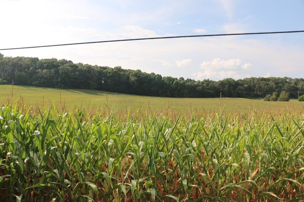0 Old Federal Road Madisonville, TN 37354 - Photo 9 of 15